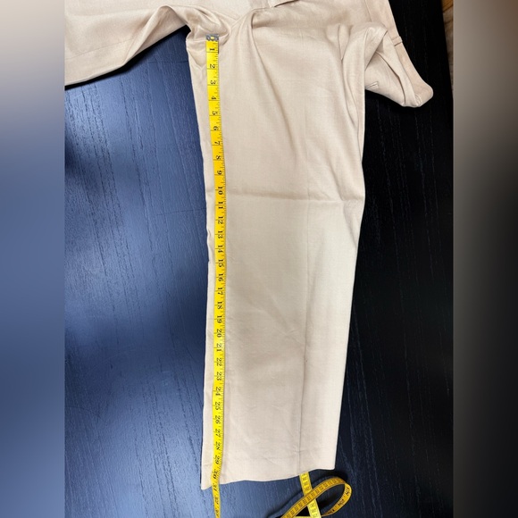 Ann Taylor Wide Leg Biscuit Color Pants - Picture 7 of 10